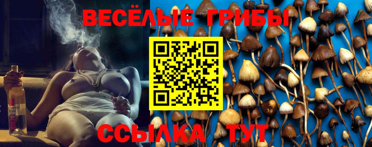 Галлюциногенные грибы Magic Shrooms Кисловодск