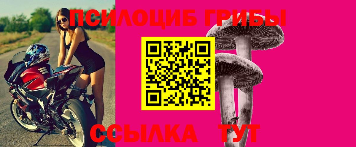 Галлюциногенные грибы прущие грибы  Вход с VPN  хочу   Кисловодск 